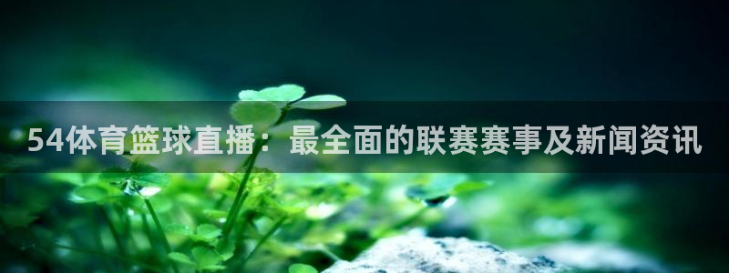 西瓜看球直播app：54体育篮球直播：最全面的联赛赛事及新闻资讯